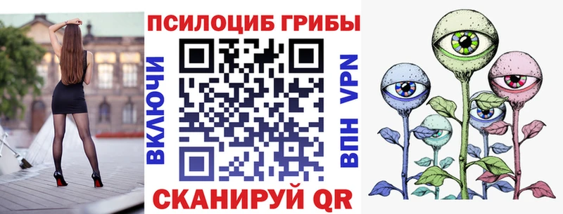 Галлюциногенные грибы мицелий  блэк спрут ONION  Сибай 